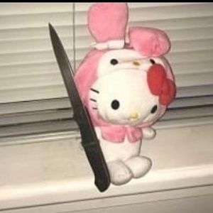 Meet your Posher, Aida